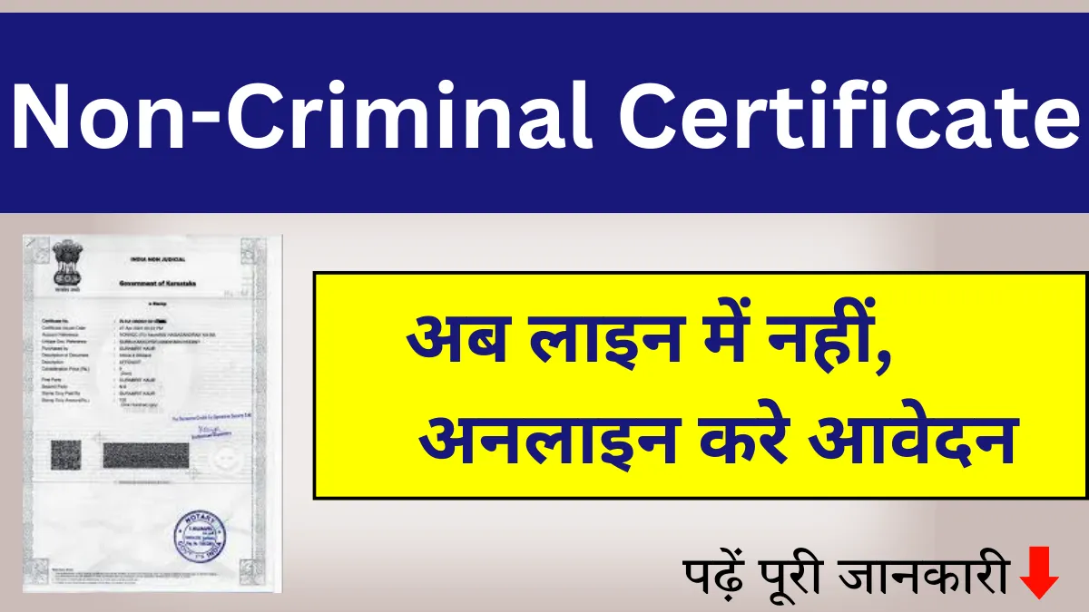 Non-Criminal Certificate